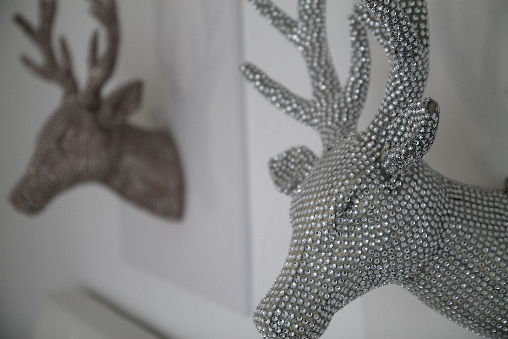 Detail Wohnung 2 Haus Sonnenschein