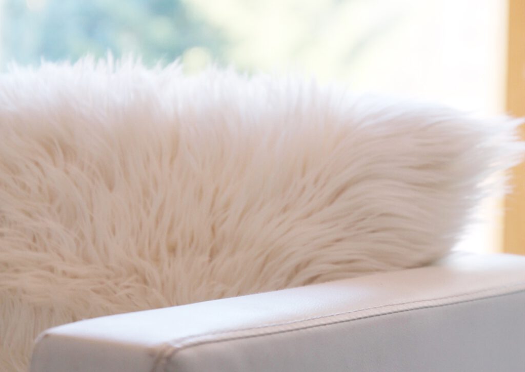 Sitzgelegenheit, Wohnung 1, Haus Sonnenschein